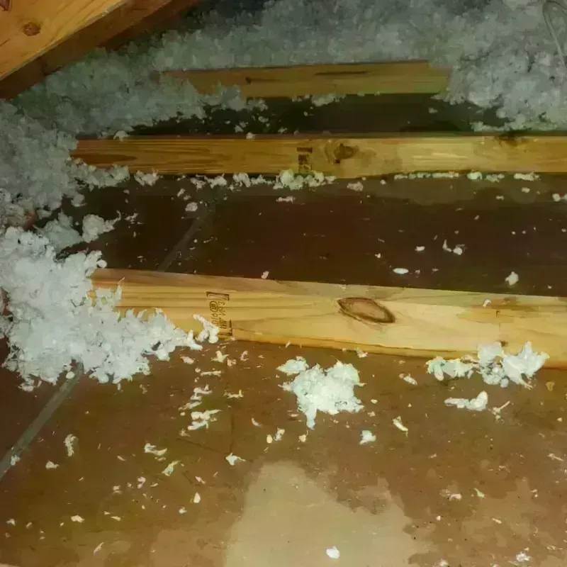 Attic Water Damage in Harpersville, AL